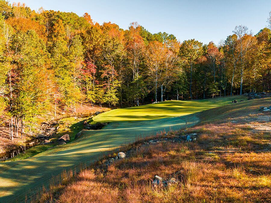 Tot Hill Farm 6 Green