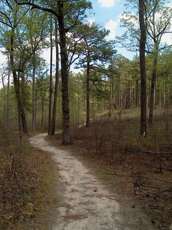 Weymouthwoods Wmg