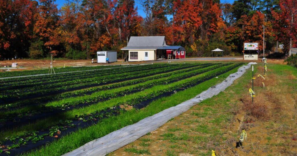 Highlander Farm 91852798b59be8b28fc00edfe4aec23a